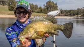 mug-guts-spinnerbaits